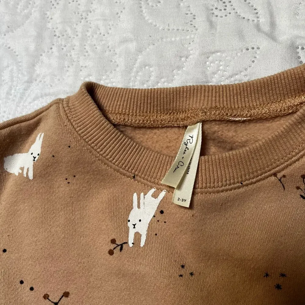 Rylee + Cru Snow Bunny Ruffle Sweatshirt Dress Size 2/3